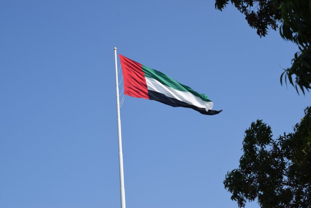 The flag of the United Arab Emirates flying in the wind