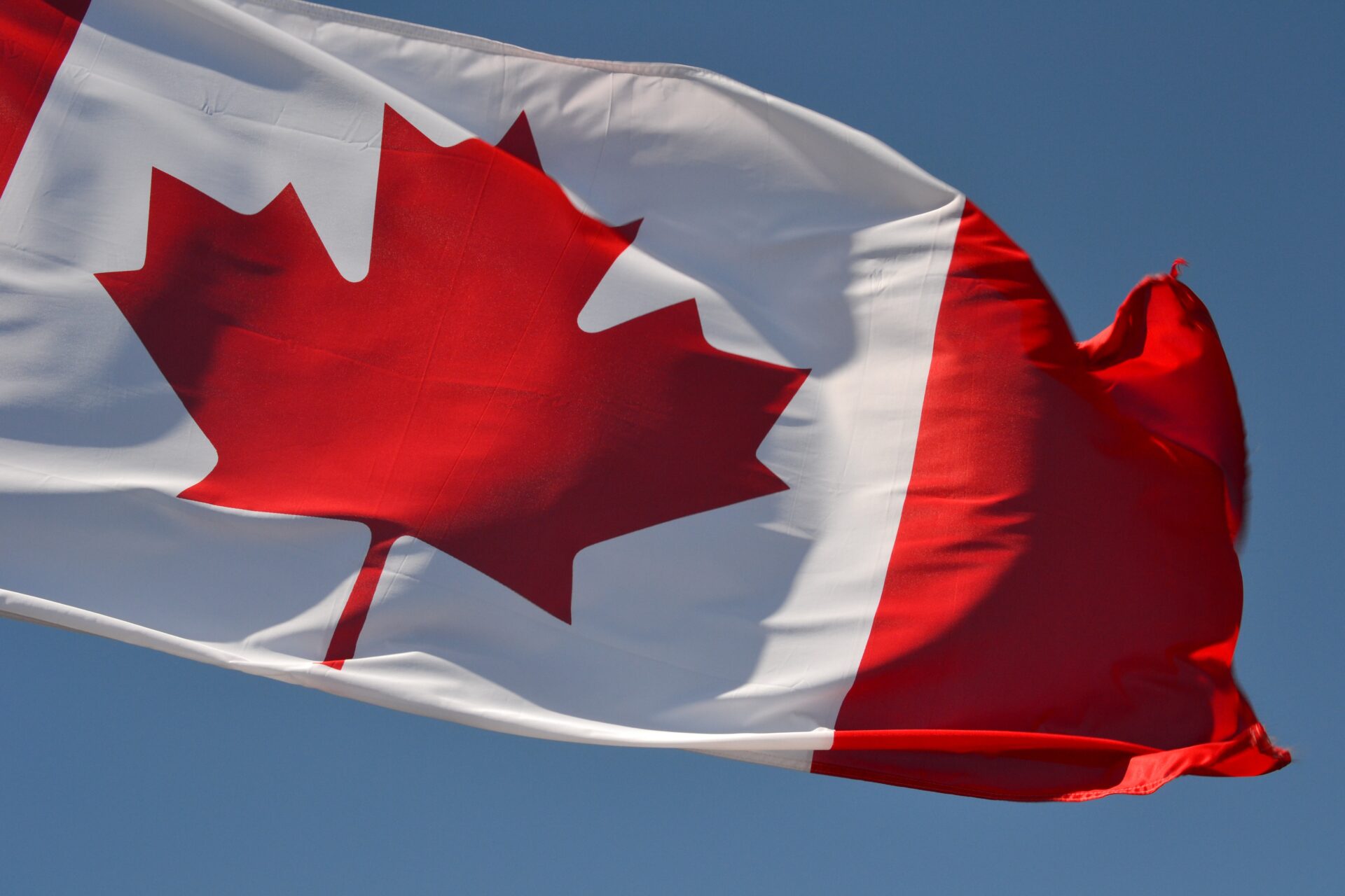 A close up shot of the Canadian flag flying in the wind against a blue sky background.