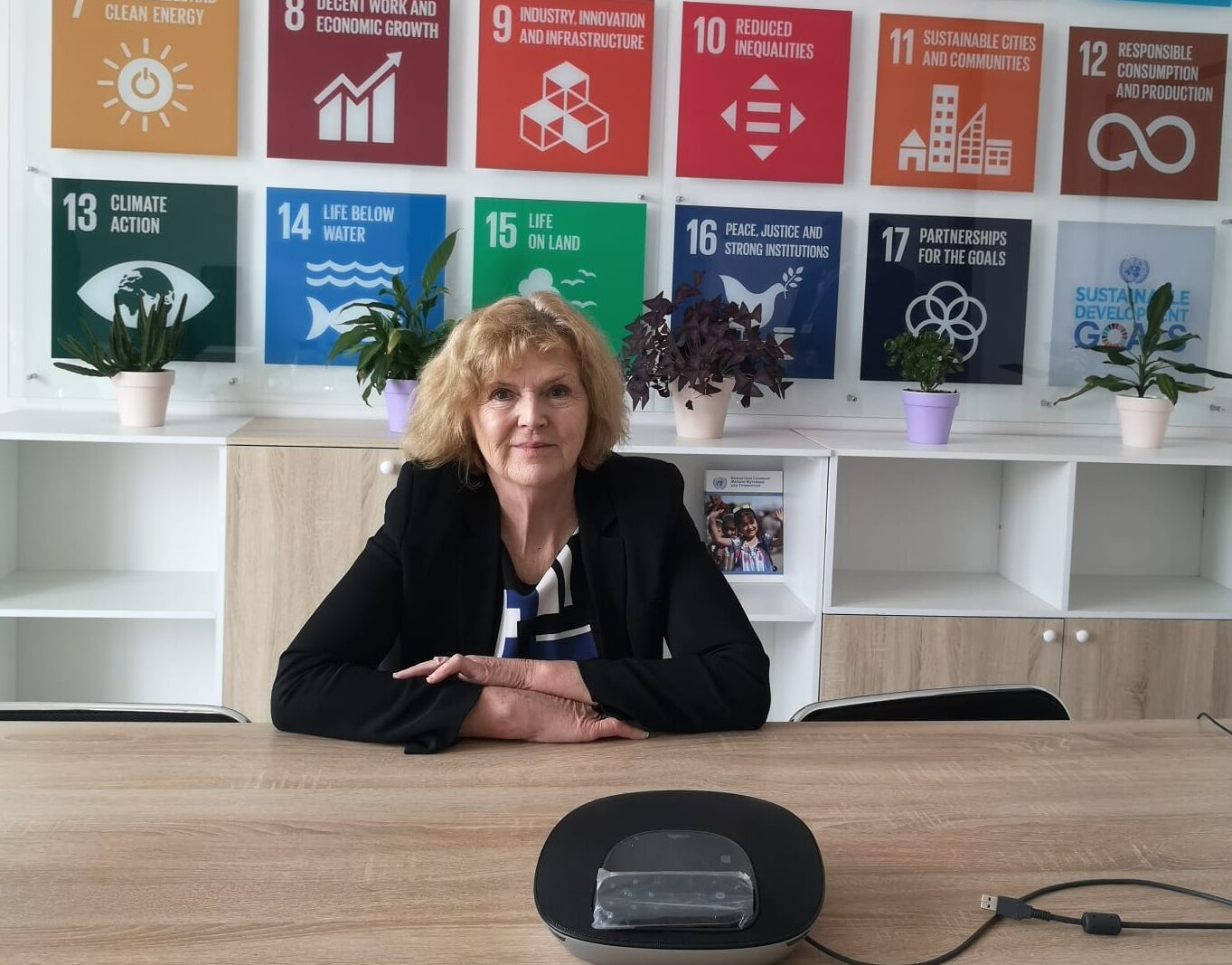 Mary Lawlor is sitting at a desk in front of a wall depicting the Sustainable Development Goals.