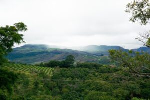 Image depicts a rural landscape in Brazil. In the bottom half of the image are some green fields and forests. In the background are some misty mountains.