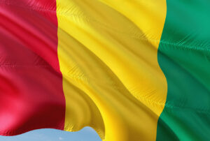 A close-up of the Guinean flag flying in the wind