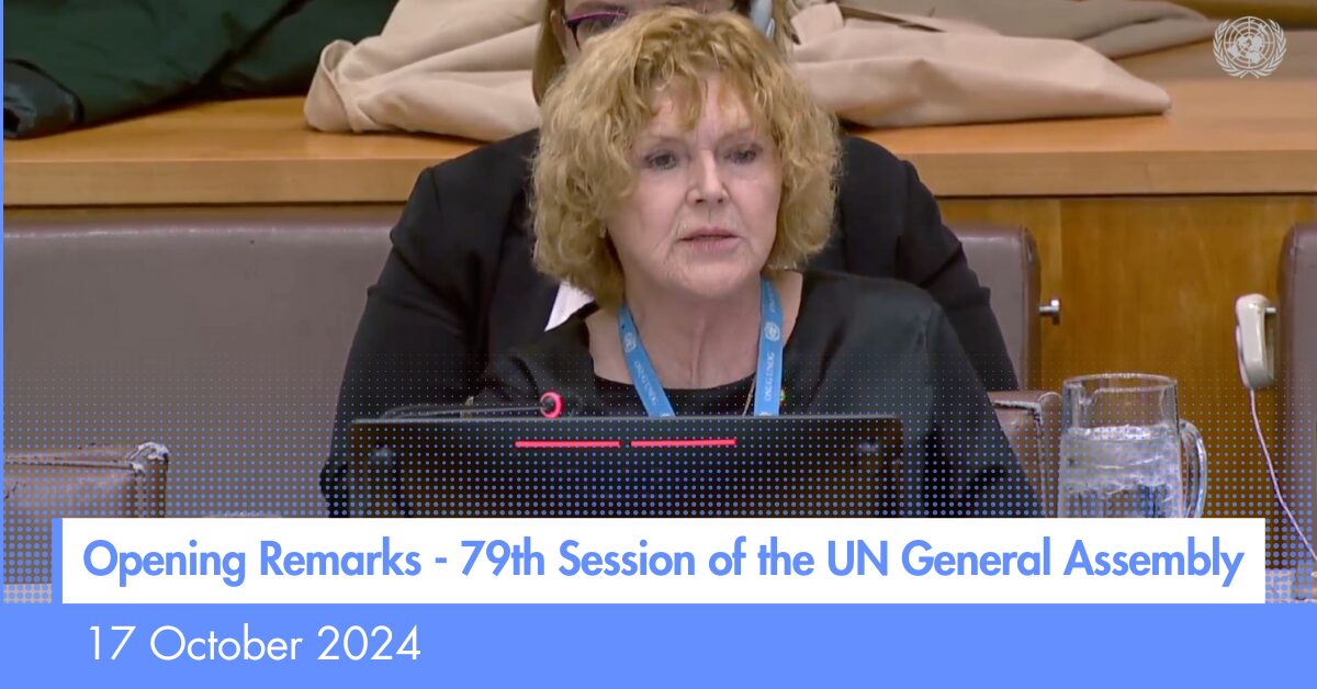 UN Special Rapporteur on Human Rights Defenders Mary Lawlor speaking at the 79th session of the UN General Assembly in New York.