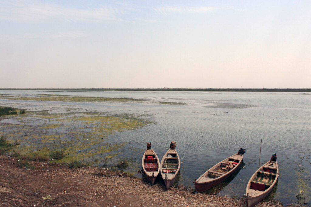 Canoe in Marshes, South of Iraq. Photo by Mohammed Alsoufi via Flickr (CC BY 2.0).