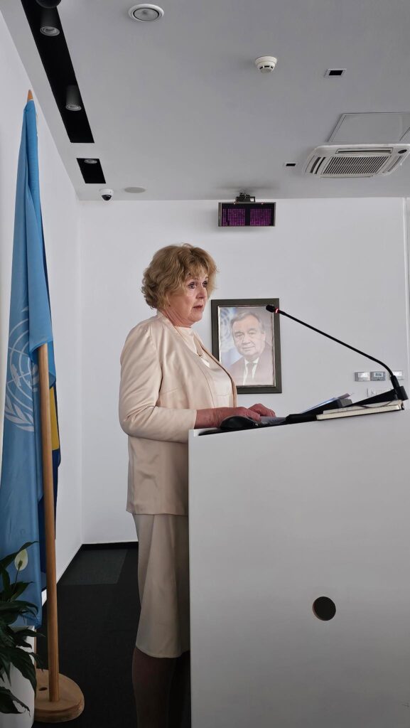 UN Special Rapporteur on human rights defenders Mary Lawlor speaking at a press conference at the end of an official country visit to Bosnia and Herzegovina in June 2024. Behind her are the flags of the United Nations and Bosnia and Herzegovina.
