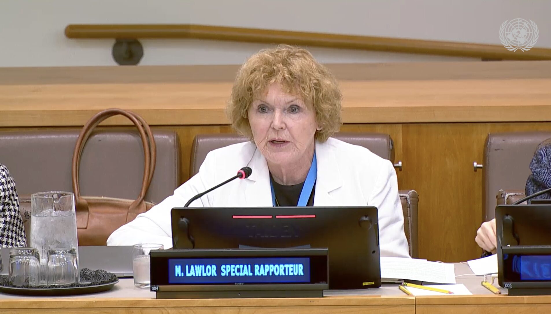 UN Special Rapporteur on the situation of human rights defenders Mary Lawlor delivering her remarks at the 80th session of the UN General Assembly in New York, on 16 October 2025.